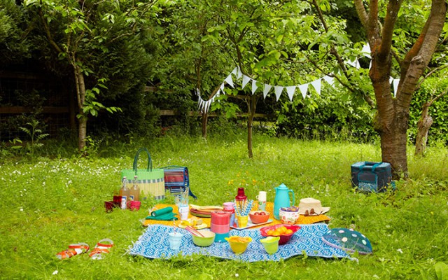 Park Picnic - picnic items on grass